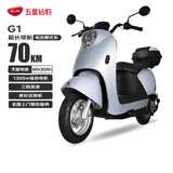 五星钻豹电动车60V20AH电动摩托车1200W大功率外卖车两轮成人男女式电瓶车 G1 真彩天鹅灰