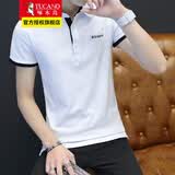 啄木鸟短袖t恤男夏季V领polo男士修身纯色半袖体恤衫夏装衣服 T130白色 XL