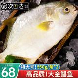 渔吻 金鲳鱼新鲜鲳鱼海捕 深海鱼平鱼鲳鱼鲜活冷冻鱼类金昌鱼 金鲳鱼550g/条*2条