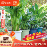 爱丽思花盆塑料圆形树脂多肉花盆种花种菜盆绿萝爱丽丝 蓝色口径30.1cm