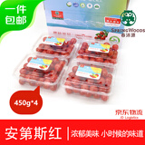 京鲜生 樱桃番茄 安第斯红散粒450g*4盒  源头直发 
