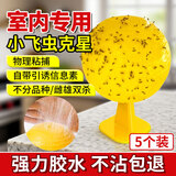 迈宝莉果蝇诱捕器小飞虫诱捕器果蝇消灭蝇蚊神器室内外家用粘虫球5个装