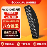 神牛（Godox）30*120cm长条形方形网格柔光箱柔光罩保荣口适用直播补光灯摄影灯闪光灯折叠便携式柔光箱含格栅