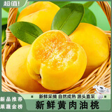 闽农语果黄桃新鲜水果当季时令蜜桃【新鲜采摘】黄金毛桃新鲜湖北水果黄桃 净重2.5斤【单果115g+】 新鲜采摘