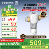 滨特尔（pentair）前置过滤器大通量家用全屋自来水管道40μm过滤器9吨/H大流量水驱涡轮+反冲洗刮洗净水器 【升级9T/H】S160前置过滤器