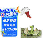绿色小家伙  3-6岁（启发出品）