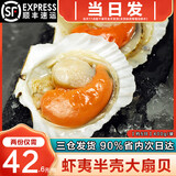 海泽鲜 鲜冻虾夷半壳特大扇贝1000g  海鲜烧烤食材超大号蒜蓉粉丝扇贝肉 【虾夷大扇贝】 400g(净重)  -450g