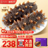 久年大连即食海参1斤13-16只 固形物超80% 高品质辽刺参 海鲜水产盒装