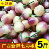 新鲜七彩椒广西五彩椒灯笼椒新鲜蔬菜五色可腌制泡椒辣椒 2斤中大果