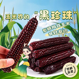 滇园（dianyuan） 紫糯拇指小玉米 云南西双版纳特产 黑糯粘玉米代餐粗粮1000g