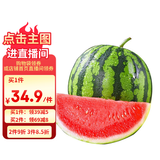 京鲜生 甘美4K西瓜 1粒 单果6斤起 生鲜水果