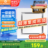 金羚（JINLING）排气扇换气扇厨房卫生间集成吊顶大功率排风 BPT10-23-2G
