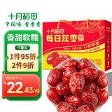 十月稻田 每日灰枣礼盒 500g 1斤 新疆特产 小红枣 零食 煲汤煮粥