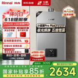林内（Rinnai）【小蛮腰Pro plus】13升极光灰燃气热水器【家电国家补贴15%】 进口恒温芯 13GD33（JSQ26-GD33）