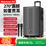 纽曼K33 15吋广场舞户外蓝牙拉杆音箱大功率便携电木吉他民谣乐器音箱演出k歌低音炮地摊摆摊喇叭双麦