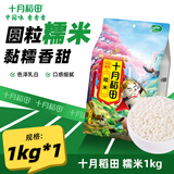 十月稻田 糯米1kg 江米粽子黏米粗粮 五谷杂粮