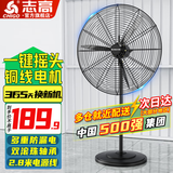 志高（CHIGO）工业风扇落地扇大风力强力牛角扇大功率商用吹除甲醛工厂车间立式摇头落地风扇 750mm(塑钢叶)铜线 升级一键摇头