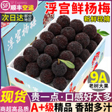 粤迎福建浮宫杨梅【JD顺丰空运多地次日达】新鲜现摘当季现发孕妇可吃 3斤精选果【单果14g+】尝鲜装