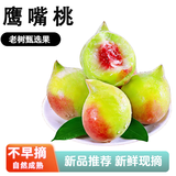新鲜鹰嘴桃水果现摘现发新鲜当季时令甄选水果桃子老树甄选鹰嘴桃 3斤【单果90g+】净重2.5斤