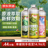 京东京造桃韵龙井毛尖小麦茉莉花茶精酿啤酒苏超看球1L*3三种口味中秋送礼