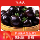 京地达山东黑珍珠小番茄 净重2斤 单果8g+ 紫色圣女果源头直发包邮