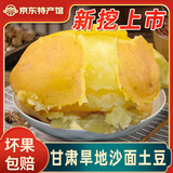 临小夏甘肃定西土豆2025新挖粉糯沙面黄皮黄心洋芋鲜马铃薯定西特产净重 5斤严选大果【适合炖肉 炒菜】