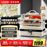 嘉泊仕（CAPOSI）德国【0涂层玻璃】家用蒸锅 电蒸锅炖蒸煮一体 定时保温多功能锅蒸汽锅10L大容量双层蒸笼