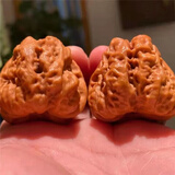 山中玉文玩核桃狮子头四座楼蛤蟆头三棱菱南疆石白狮子手把件新年礼物 [网红]40-41mm蛤蟆头1对+工具