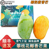 南步攀枝花椰香芒果【顺丰速发】果冻鸡蛋芒甜心芒青绿皮芒果礼盒装 8斤 一级果【单果150g+】礼盒