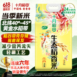 十月稻田 生态稻香米 5kg 当季新米 东北大米 粳米 5公斤