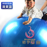 哈宇百合/BAR HEE专业感统训练球加大100cm防爆健身球大龙球宝宝儿童小孩感知锻炼 100cm【光滑面】清爽蓝-10件套