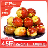 京鲜生陕西大荔冬枣 大果 净重4.5斤 单果20g+ 生鲜水果 源头直发