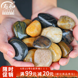 寿禾 鹅卵石石头大块水族箱鱼缸盆栽装饰铺路 2-4cm天然精抛鹅卵石1kg