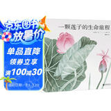 一颗莲子的生命旅程 原创植物科普绘本，以国画绘出莲的生命轮回 国风情怀 中国传统 自然之美 5-10岁浪花朵朵暑假作业 一升二暑假衔接 小升初暑假衔接