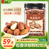 洽洽坚果进化论东北松子500g 罐装原味手剥孕妇儿童休闲零食带壳坚果