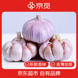 京觅山东紫皮大蒜 净重2.5斤 单果30g+干蒜头葱姜蒜源头直发包邮