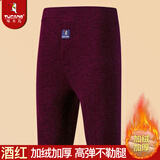 啄木鸟冬季男士保暖裤秋裤男加绒加厚打底驼绒保暖弹力打底裤加大码棉裤 【酒红】驼绒加厚 3XL 建议140-160斤
