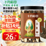 十月稻田 羊肚菌 30g（5-7cm）山珍菌菇干货 鸡汤煲汤火锅食材