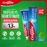 高露洁（Colgate） 全面防蛀清新薄荷味牙膏大容量250g 清新口气