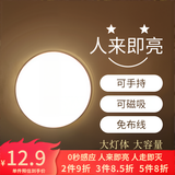 大头人（datouren）人体感应灯充电床头灯卧室光控灯楼道玄关橱柜灯充电感应小夜灯