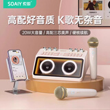 索爱（soaiy）SG12音响麦克风一体套装唱歌麦克风全民K歌KTV抖音网红主播手机电视娱乐话 K歌版 双麦