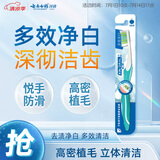 云南白药基础系列多效净白软毛牙刷 高密立体植毛多面清洁 成人 单支装
