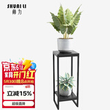 帅力铁艺花架 阳台户外花盆架子双层置物架绿萝盆景架SL8227Z黑