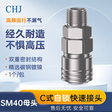 CHJ C式自锁快速接头 气动元件气管快速接头快插接头气泵高压空压机配件母插头1个/包【SM40】