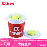 Wilson威尔胜无压力训练网球 WRT131200