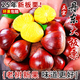 亨迅丹东板栗新鲜生栗子2025年生板栗应季时令蔬菜 1斤尝鲜 净重 0.8斤