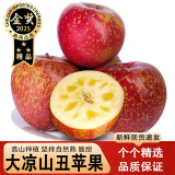 鲸咚亿农盐源冰糖心丑苹果大凉山丑苹果脆甜冰糖心苹果新鲜水果年货礼盒 大凉山丑苹果4.5斤（65mm+）小果