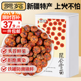 贡苑昆仑雪菊50g新疆天山特野外级血菊蕾胎菊花茶包泡水喝的花草茶