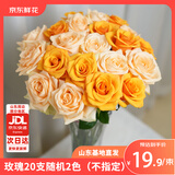 京东鲜花玫瑰花随机颜色20枝山东基地新鲜采摘送男女朋友枝长40cm源头直发