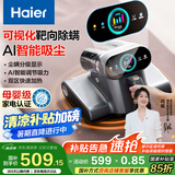 海尔（haier）【小红花套系】世家除螨仪床宝床上吸尘器礼物送礼大吸力双尘杯去螨虫吸尘神器HZ-CS1S